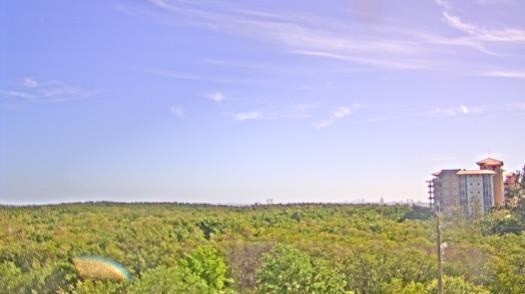 Weather camera view of WTSP-TV.