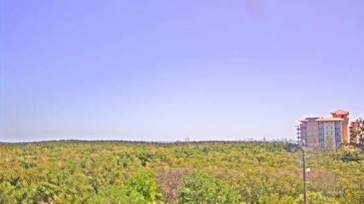 Weather camera view of WTSP-TV.