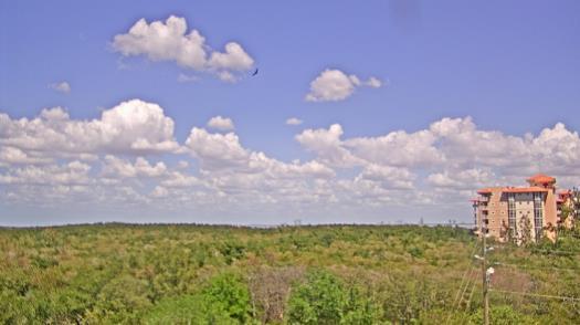 Weather camera view of WTSP-TV.