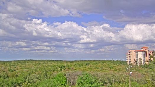 Weather camera view of WTSP-TV.