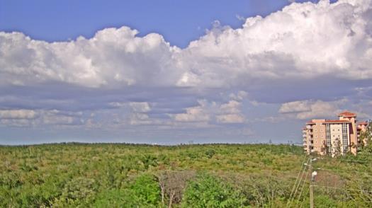 Weather camera view of WTSP-TV.