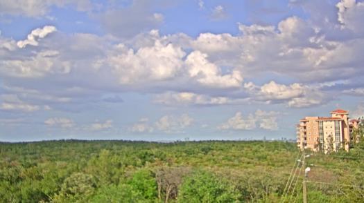 Weather camera view of WTSP-TV.