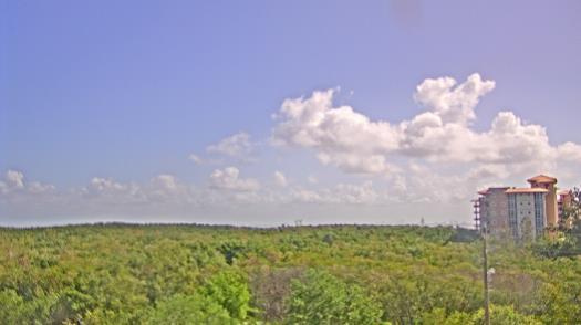 Weather camera view of WTSP-TV.