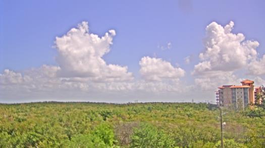 Weather camera view of WTSP-TV.