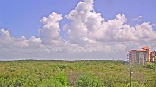 Weather camera view of WTSP-TV.