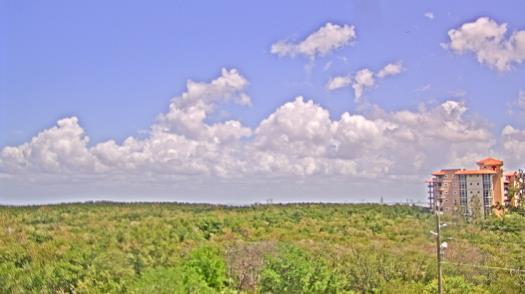 Weather camera view of WTSP-TV.