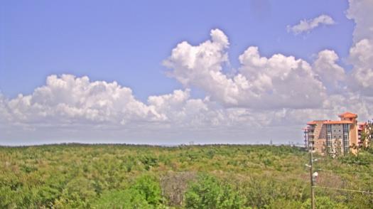 Weather camera view of WTSP-TV.