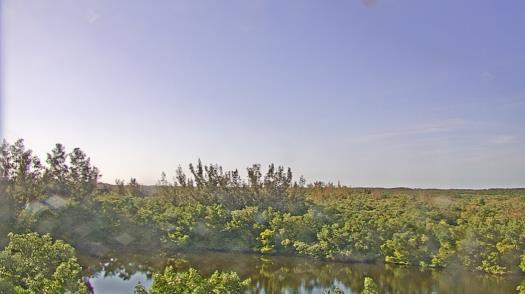 Weather camera view of WTSP-TV.