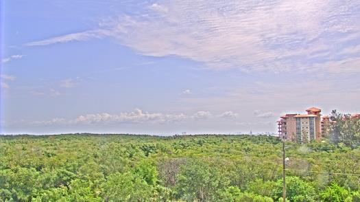 Weather camera view of WTSP-TV.