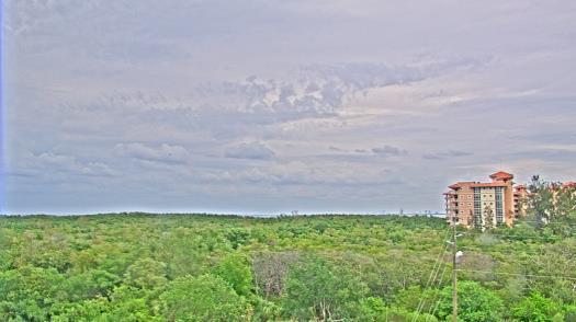 Weather camera view of WTSP-TV.
