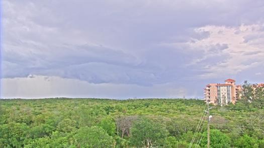 Weather camera view of WTSP-TV.