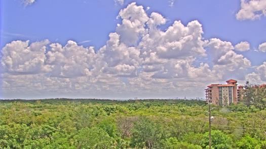 Weather camera view of WTSP-TV.