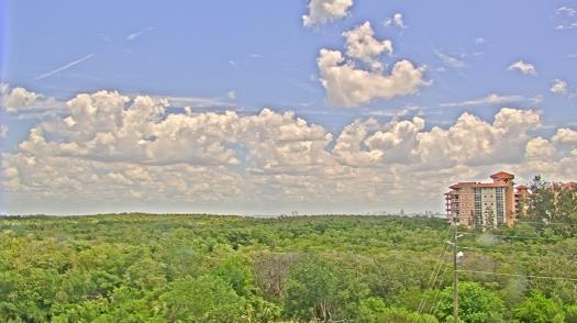 Weather camera view of WTSP-TV.
