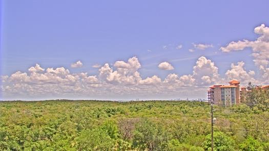 Weather camera view of WTSP-TV.