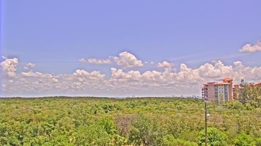 Weather camera view of WTSP-TV.