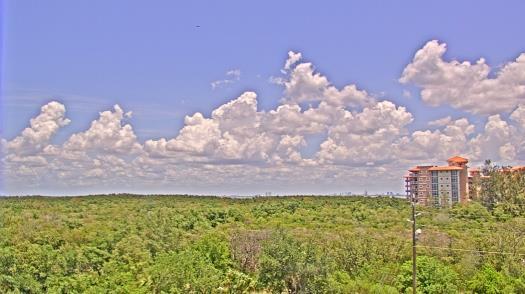 Weather camera view of WTSP-TV.