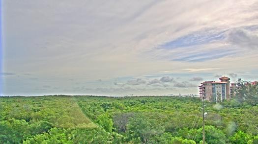 Weather camera view of WTSP-TV.