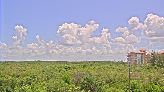 Weather camera view of WTSP-TV.
