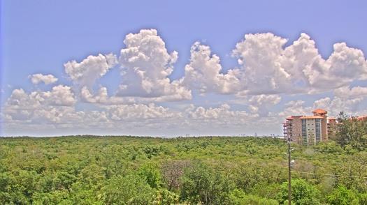 Weather camera view of WTSP-TV.