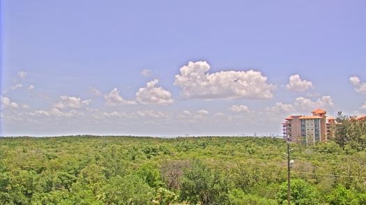 Weather camera view of WTSP-TV.