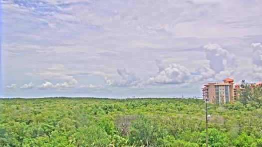Weather camera view of WTSP-TV.
