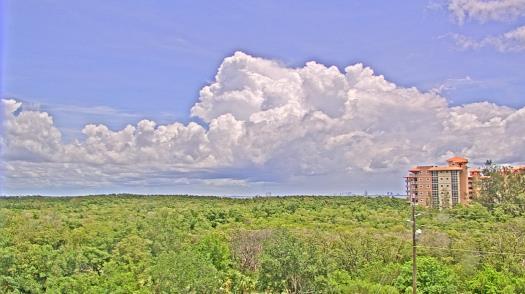 Weather camera view of WTSP-TV.