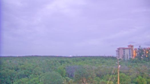 Weather camera view of WTSP-TV.