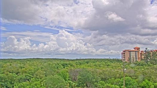 Weather camera view of WTSP-TV.