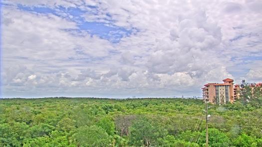 Weather camera view of WTSP-TV.