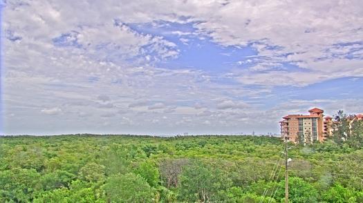 Weather camera view of WTSP-TV.