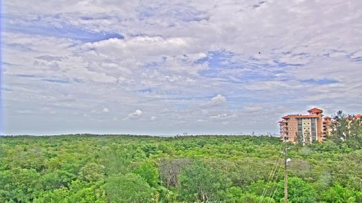 Weather camera view of WTSP-TV.