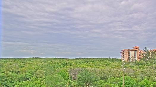 Weather camera view of WTSP-TV.