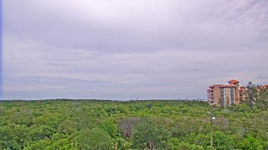 Weather camera view of WTSP-TV.