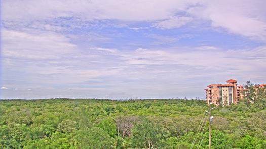Weather camera view of WTSP-TV.