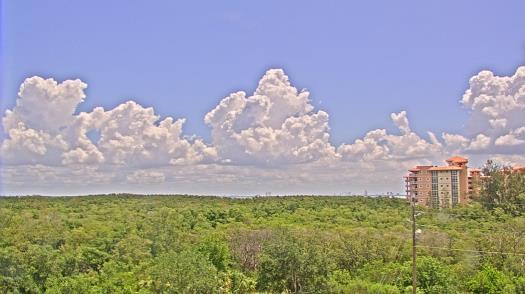Weather camera view of WTSP-TV.