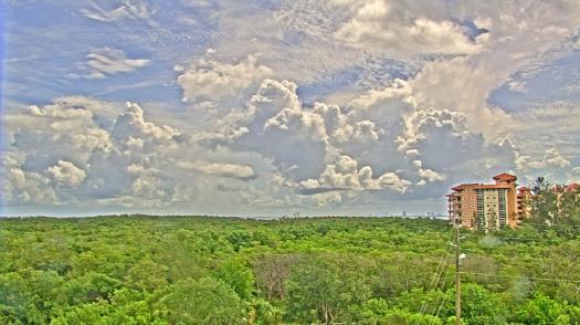 Weather camera view of WTSP-TV.