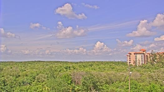 Weather camera view of WTSP-TV.