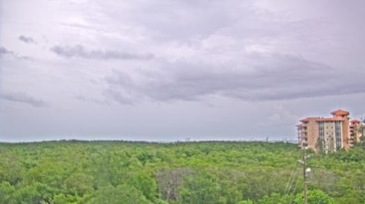 Weather camera view of WTSP-TV.