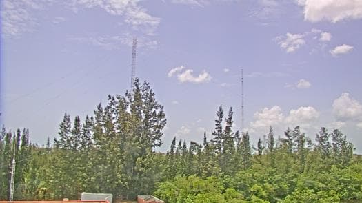 Weather camera view of WTSP-TV.