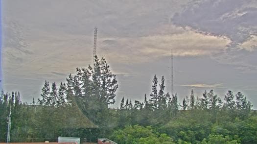 Weather camera view of WTSP-TV.