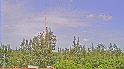 Weather camera view of WTSP-TV.