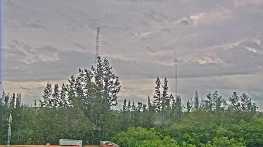 Weather camera view of WTSP-TV.