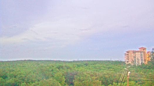 Weather camera view of WTSP-TV.