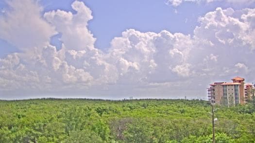 Weather camera view of WTSP-TV.