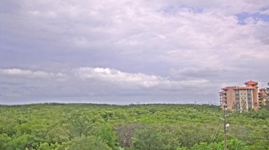 Weather camera view of WTSP-TV.