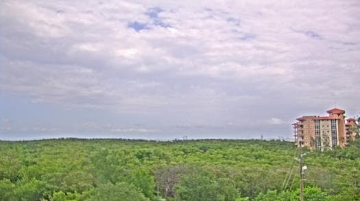 Weather camera view of WTSP-TV.