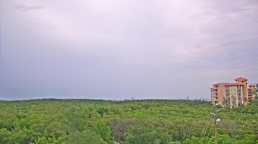 Weather camera view of WTSP-TV.