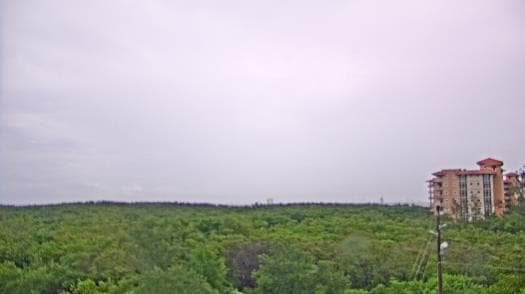 Weather camera view of WTSP-TV.