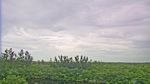 Weather camera view of WTSP-TV.