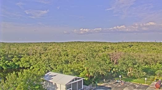 Weather camera view of WTSP-TV.